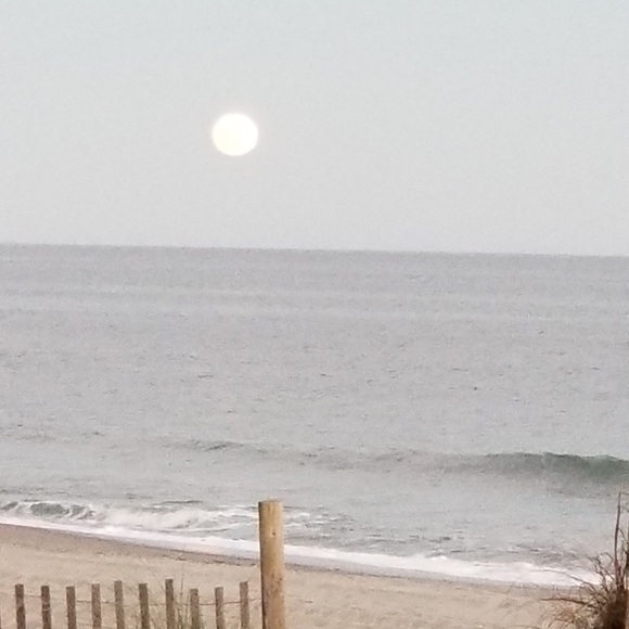 Meet your Posher, Lorna - Picture 2 of 2